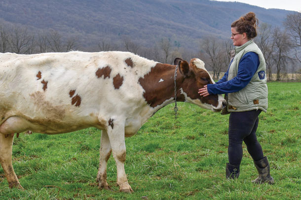 Jessica Matthews with Lina the cow
