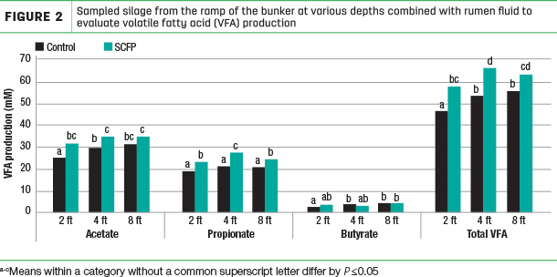 sampled silage from the ramp of the bunker at various depths combined with rumen fluid