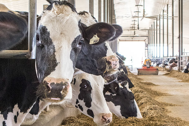 Progressive Dairy's Top 25 of 2021 - Progressive Dairy | Ag Proud