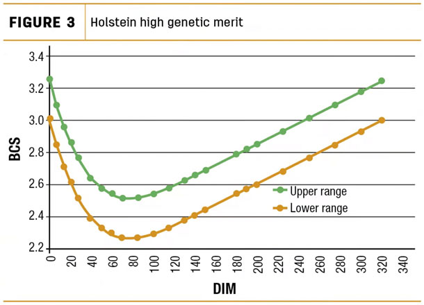 Holstein high genetic merit