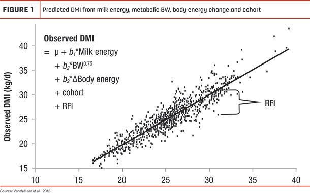 Predicted DMI for milk energy