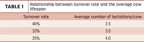 Relationship between turnover rate and the average cow lifespan