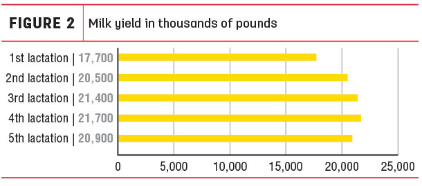 Milk yield in thusands of pounds