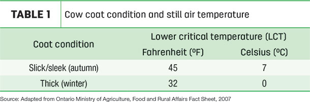 Cow coat condition and still air temperature