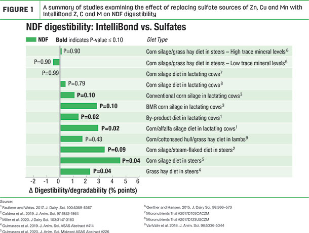 A summary of studies examing the effect of replacing