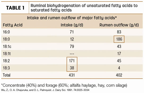 Ruminal biohydrogenation