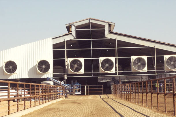 Parlor Exhaust