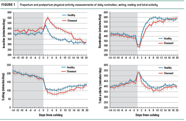 Prepartum and postpartum physical activity