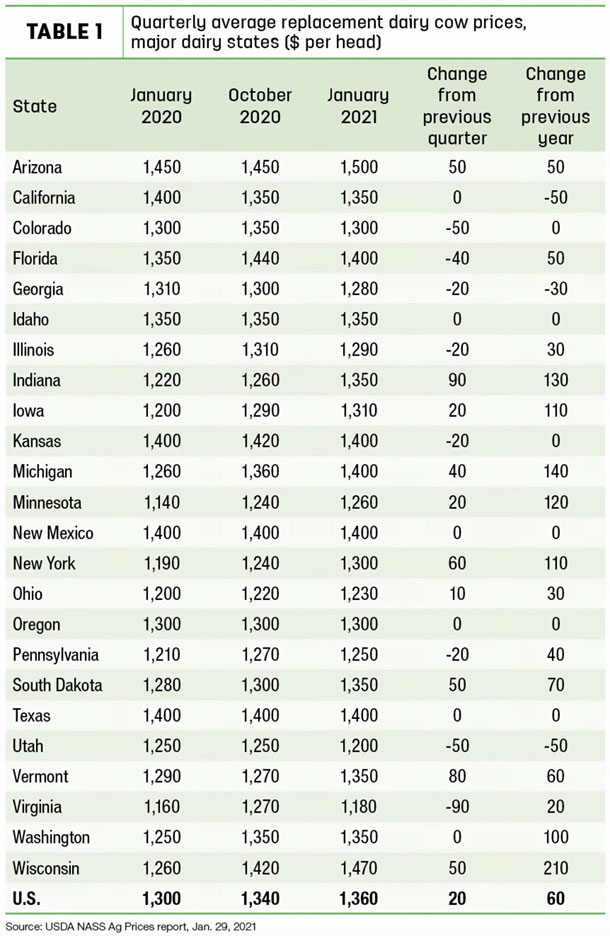Replacement cow prices