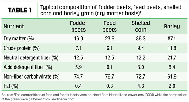 Typical composition of fodder beets