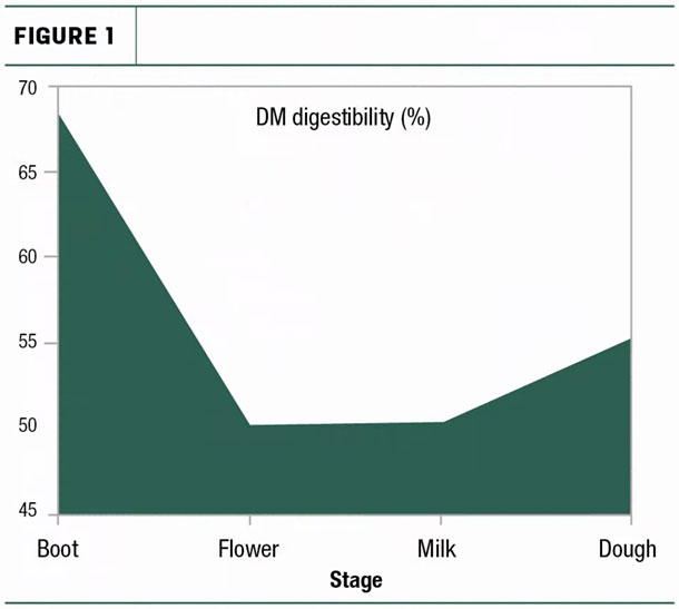 DMI digestibility