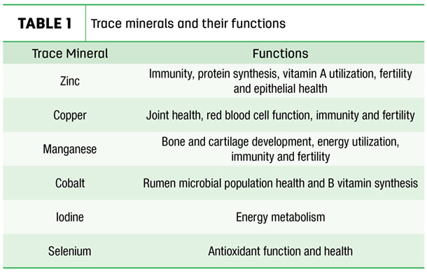 chapter 13 case study trace mineral deficiencies