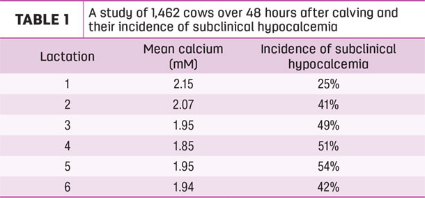 A study of 1,462 cows over 48 hours after calving