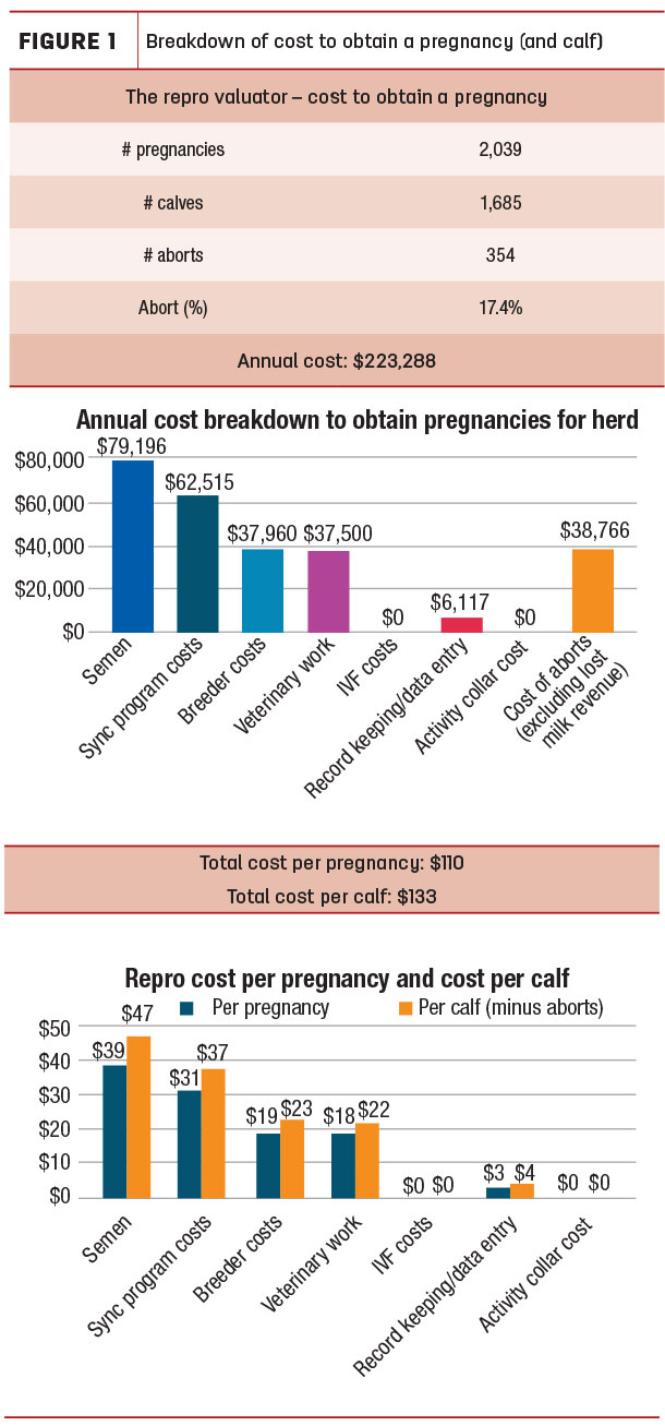 Breakdown of cost to obtain a pregnancy (and calf)