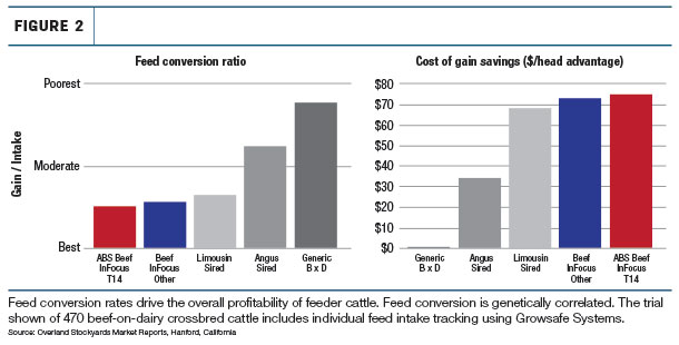 feed conversion rates