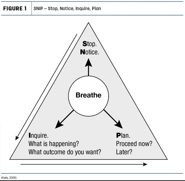SNIP - Stop, Notice, Inquire, Plan