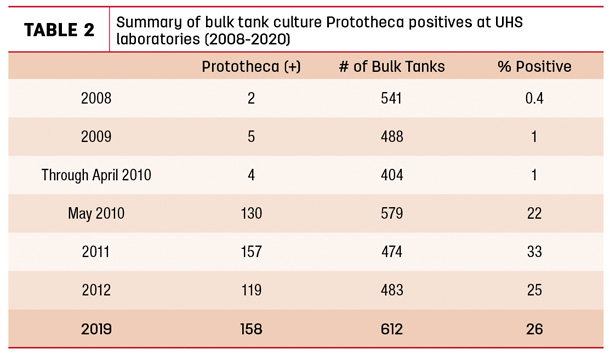 Summary of bulk tank culture Prototheca positives 
