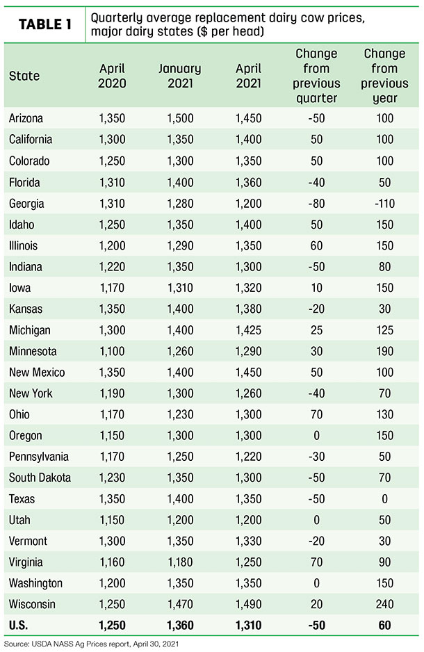 050421 NATZKE Replacement cow prices