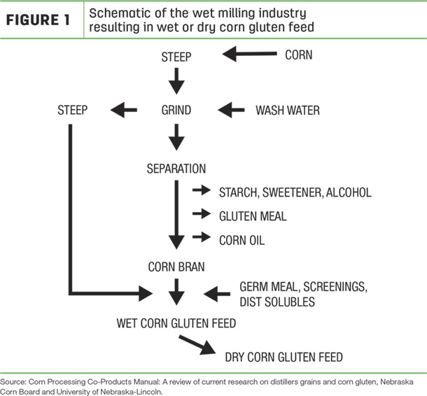 Schematic of the wet milling industry