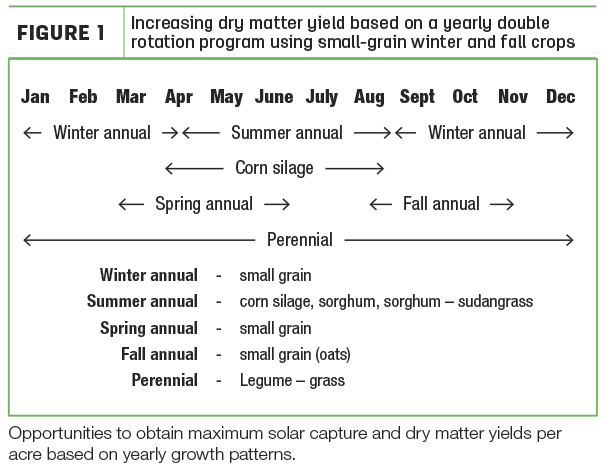 Increasing dry matter yeild based on a yearly double rotation program