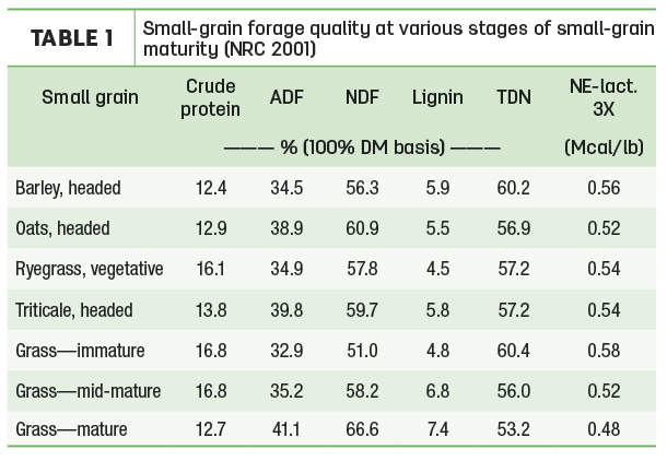 Small-grain forage quality at various stages of small-grain maturity