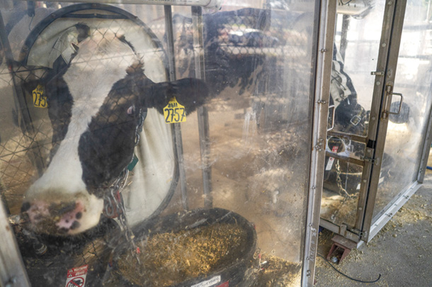 Methane testing