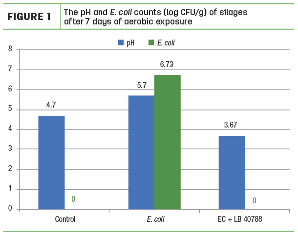 The pH and E. Coli counts