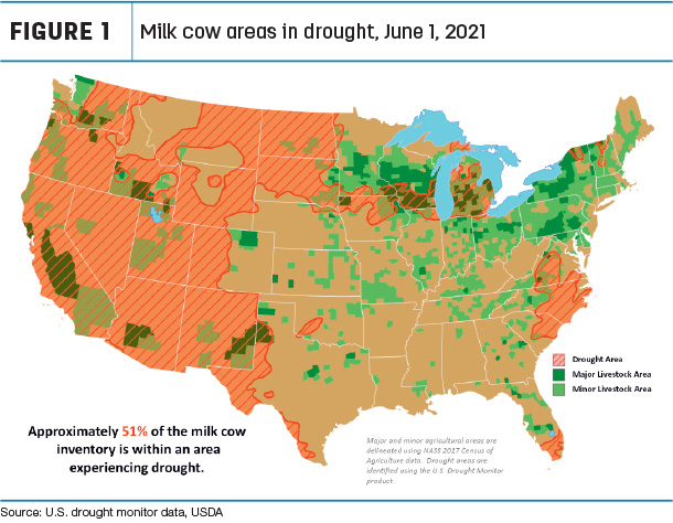 060421 natzke drought areas