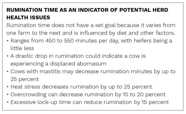 Rumination time as an indicator of potential herd health issues