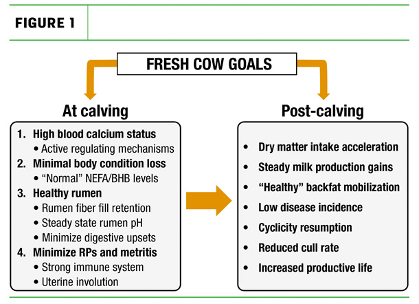 Fresh Cow Goals