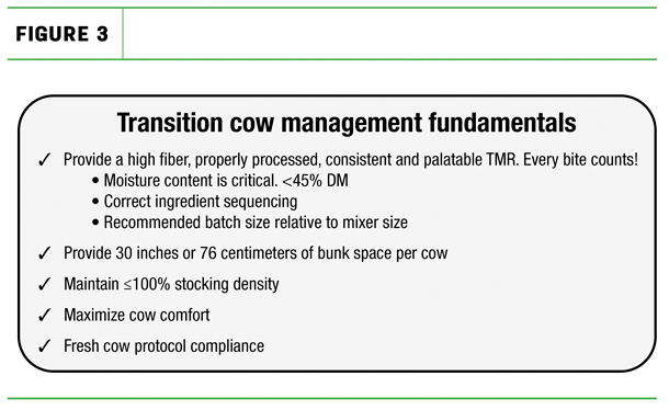 Transition cow fundamentals
