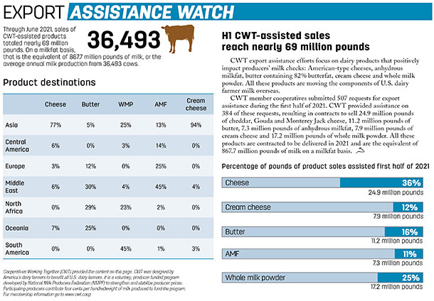 Export Watch