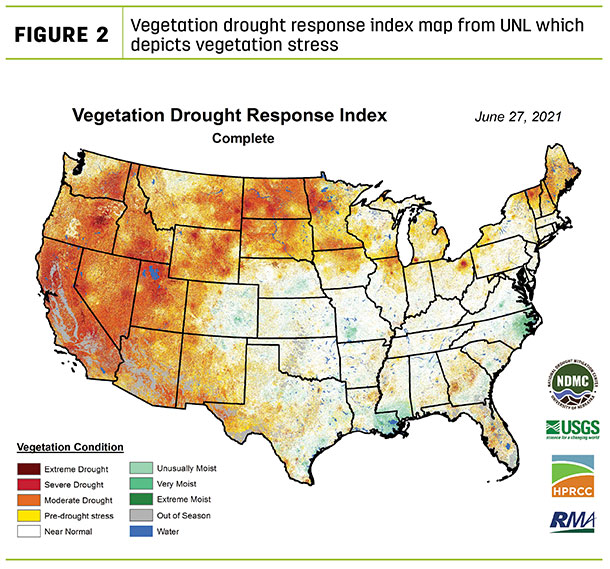 Vegetation drrought response index