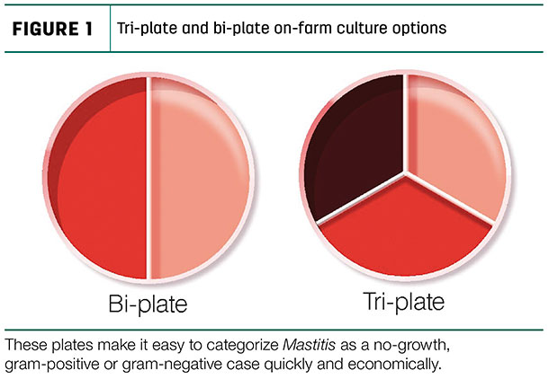 These plates make it easy to catergorize Mastitis