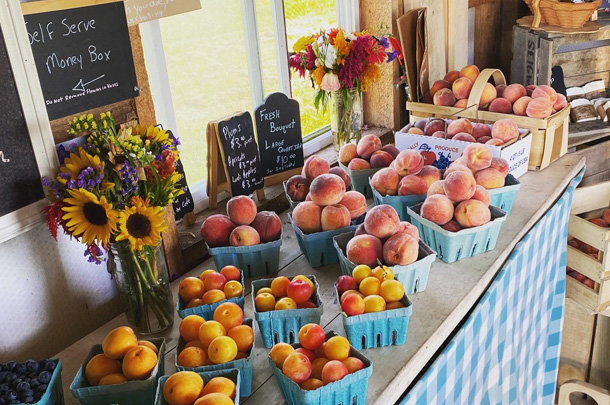 080921 vander dussen fruit