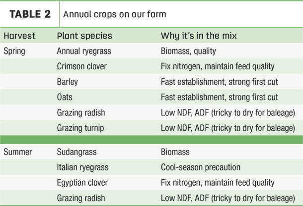 Annual crops on our farm