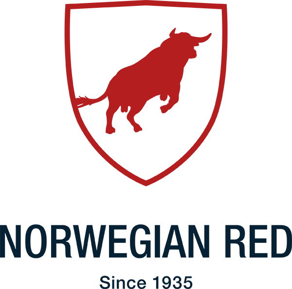 norwegian red logo