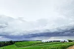 dairy farm scenery
