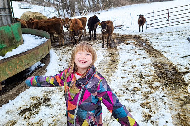 girl and cows