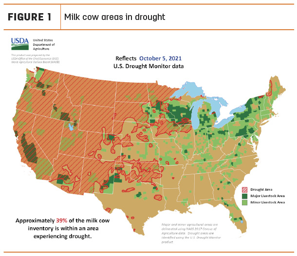 milk cow drought areas