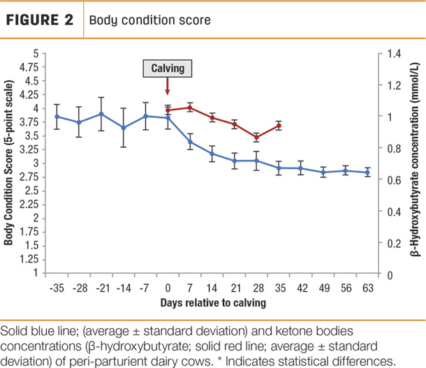 Body condition score