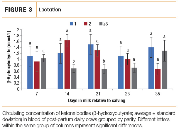 Lactation