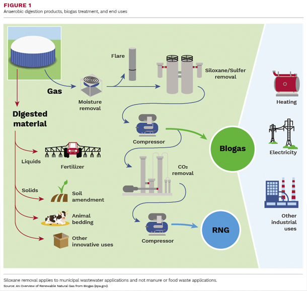Anaerobic digesrion products