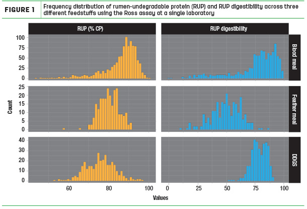 Frequency distrubution of rumen-undergradable protein