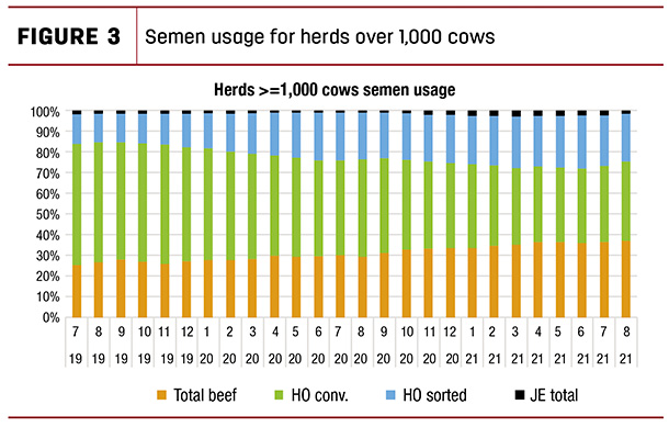 Semen usage for herds over 1,000 cows