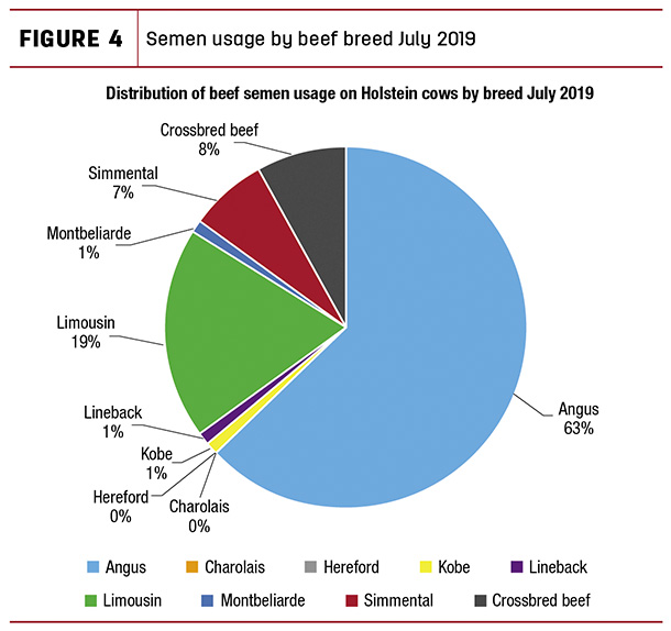 Semen usage by beef breed July 2019