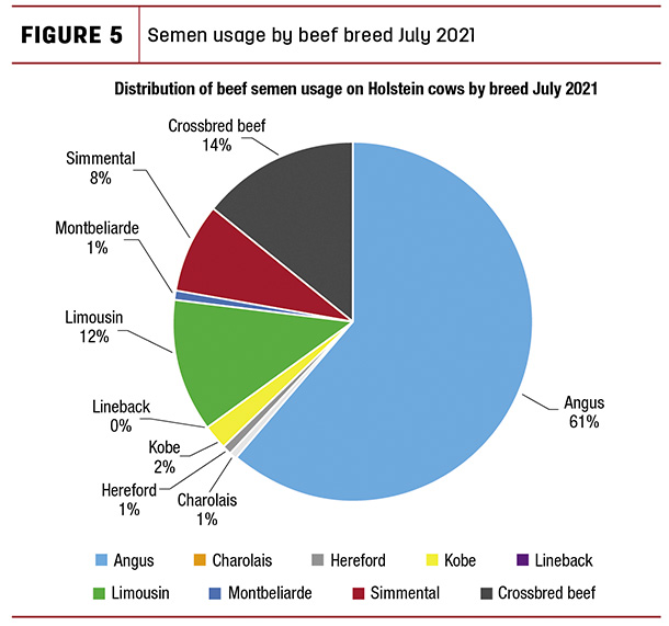semen usage by beef breed July 2021