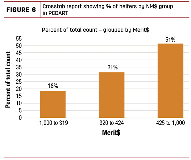 Corsstab report showing % of heifers by NM$ group in PCDART
