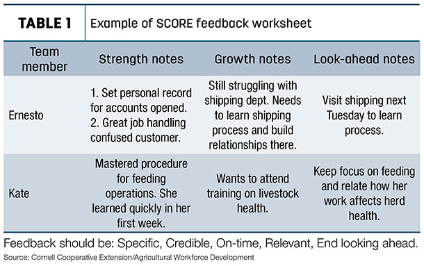 Example of SCORE feedback worksheet
