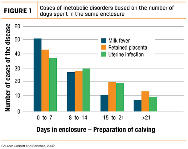 Cases of metabolic disorders based on the number of days spent in the same enclosure
